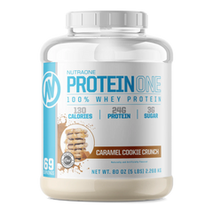PROTEIN ONE - 5LB TUB