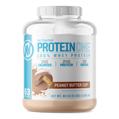 PROTEIN ONE - 5LB TUB
